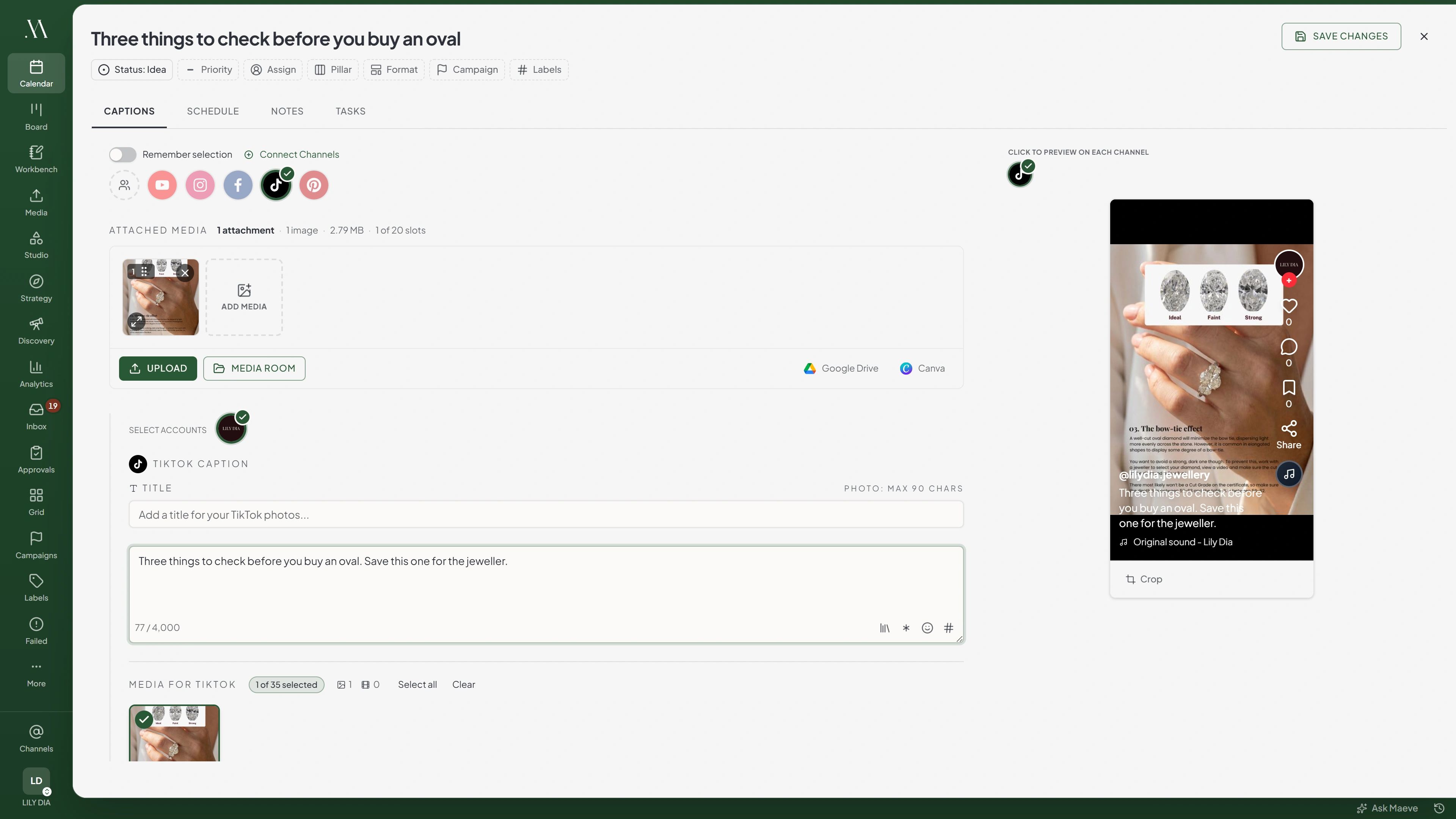 The Maeve composer with TikTok selected, showing the TikTok caption field and a live vertical TikTok preview on the right