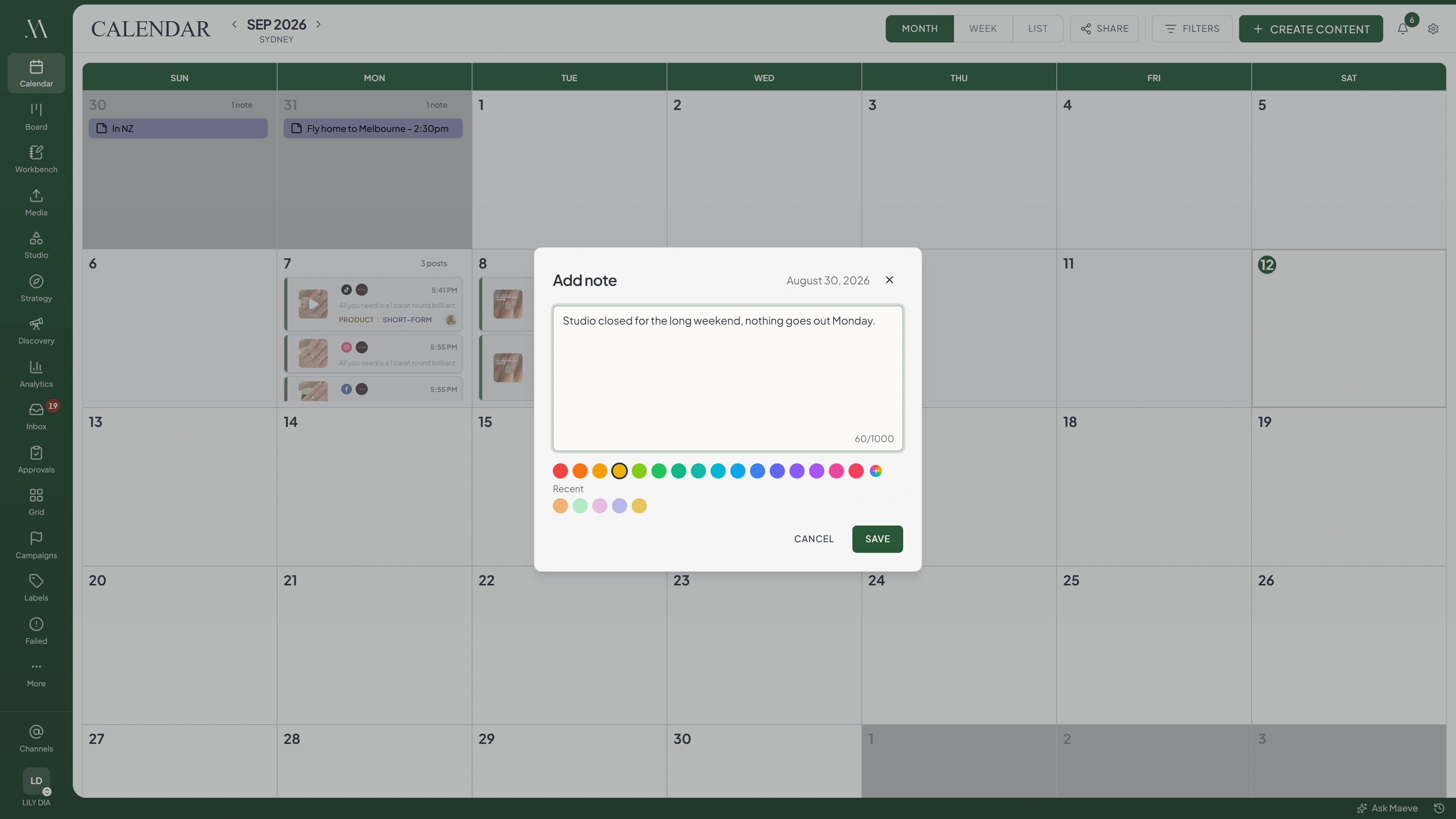 The Maeve calendar with the add note dialog open, showing the note text, the date it is pinned to and a row of colour swatches