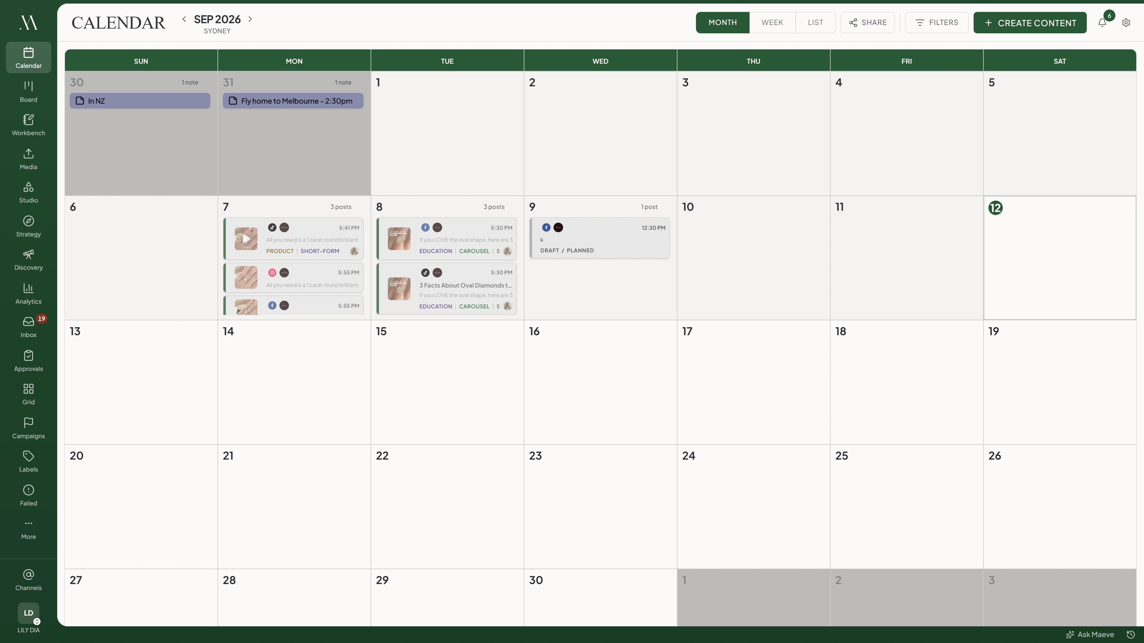 The Maeve calendar in month view, showing a month of scheduled posts with their times, channels and labels, and two calendar notes on the days above