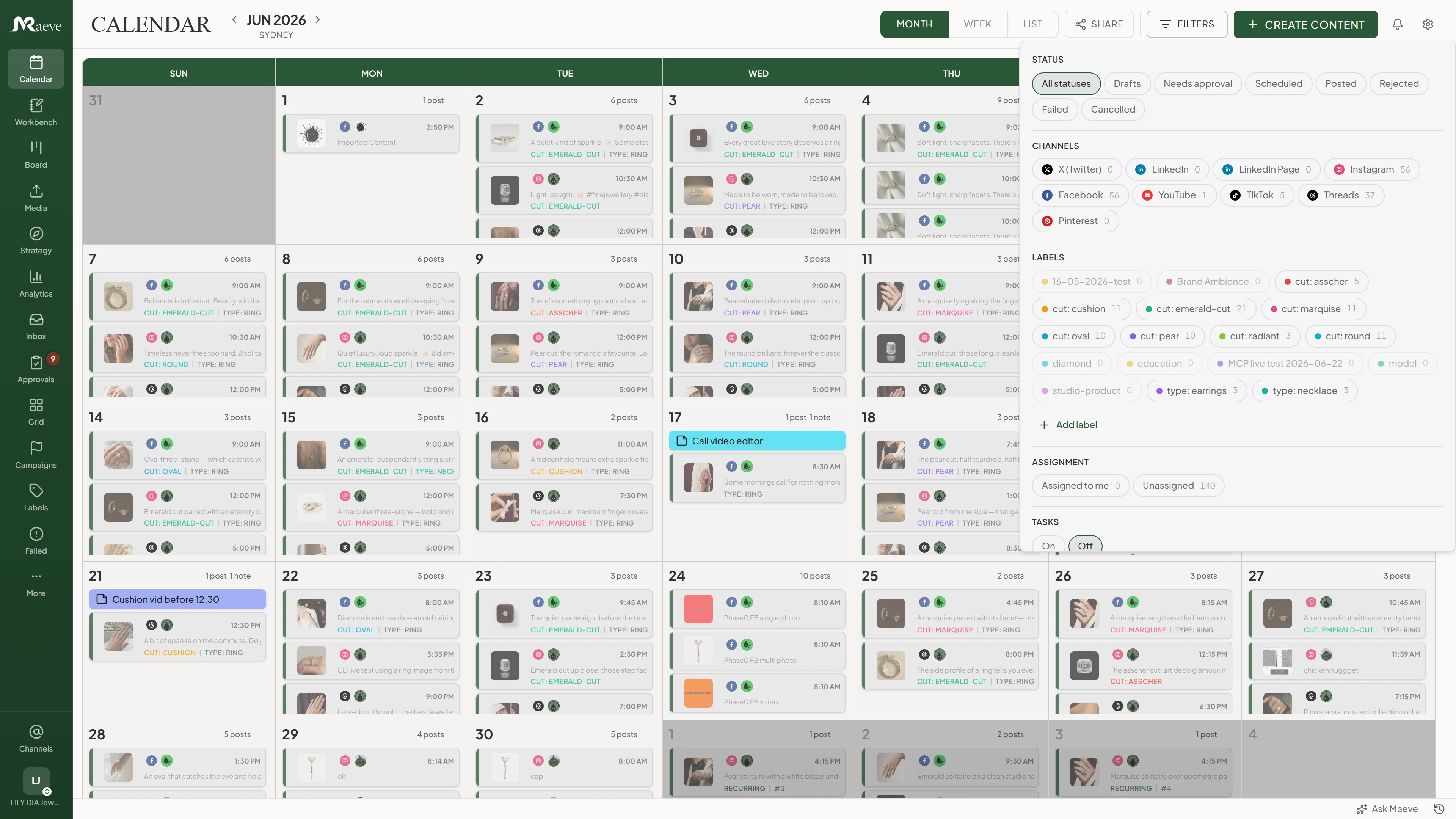 Maeve calendar filter panel over the month grid with status pills, channel counts, color-coded label chips, assignment options, and a tasks toggle
