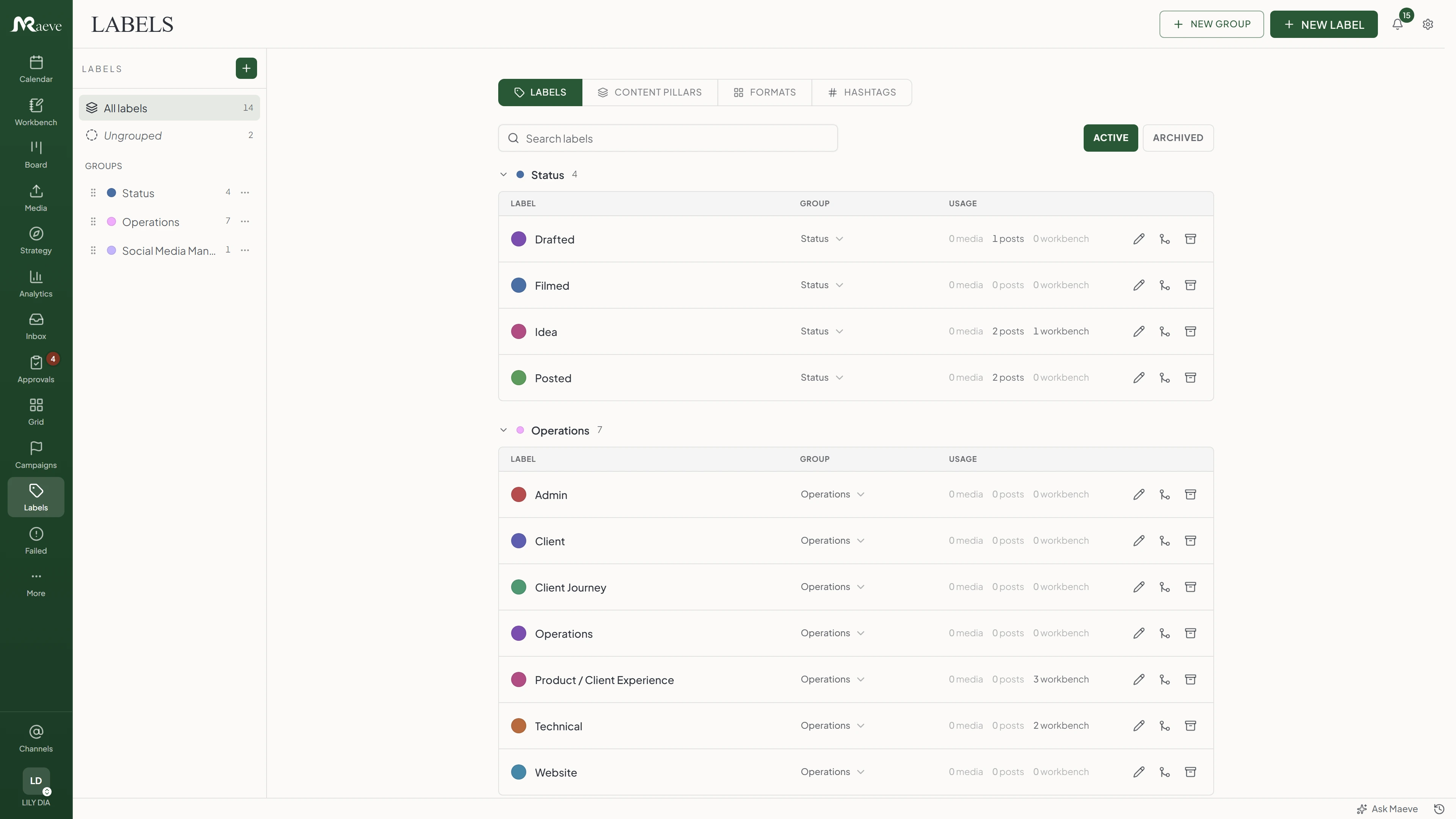 Maeve labels hub with a sidebar of label groups, tabs for labels, content pillars, formats, and hashtags, and a table of color-coded labels grouped by Status and Operations, each showing its group and how many media, posts, and workbench rows use it